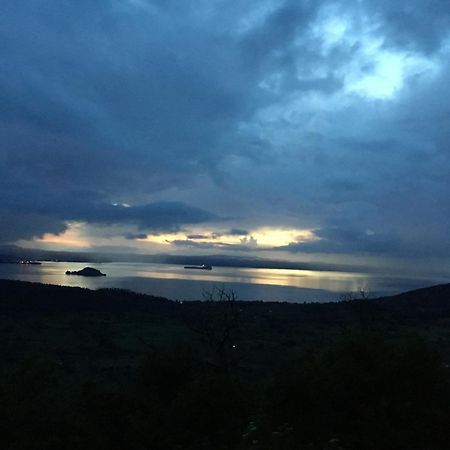Un Giardino Sul Lago Montefiascone Zewnętrze zdjęcie