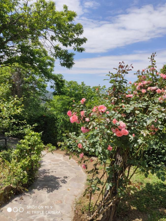 Un Giardino Sul Lago Montefiascone Zewnętrze zdjęcie