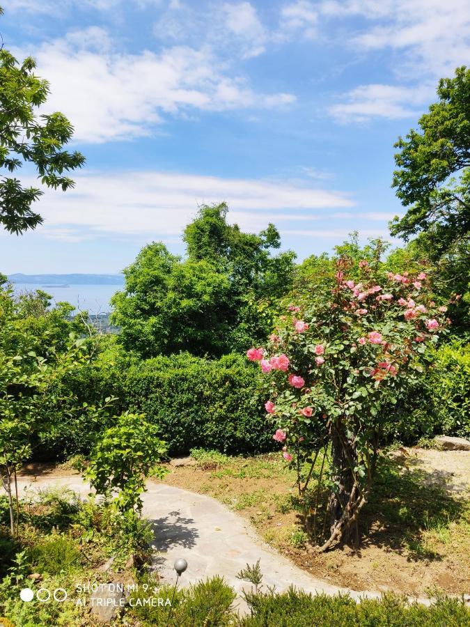 Un Giardino Sul Lago Montefiascone Zewnętrze zdjęcie