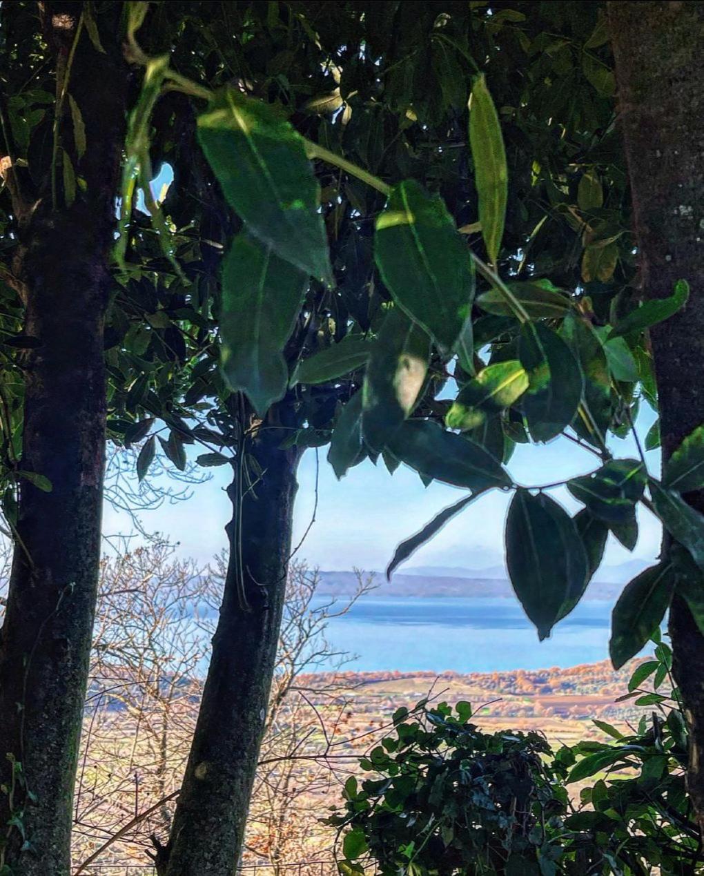 Un Giardino Sul Lago Montefiascone Zewnętrze zdjęcie